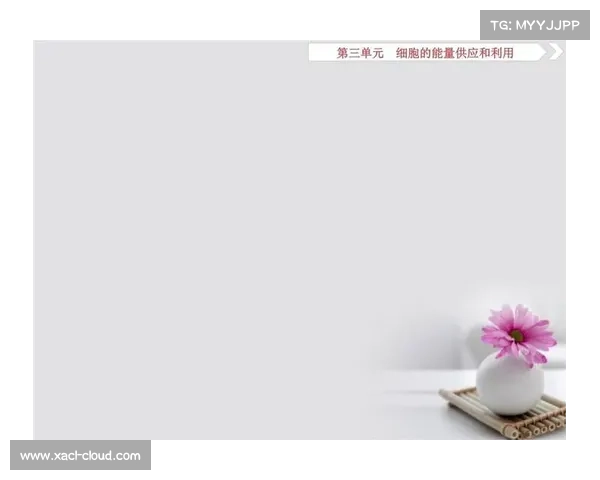 人类命运关键抉择十个转折点探究及其深远影响 人类命运关键抉择十个转折点探究及其深远影响